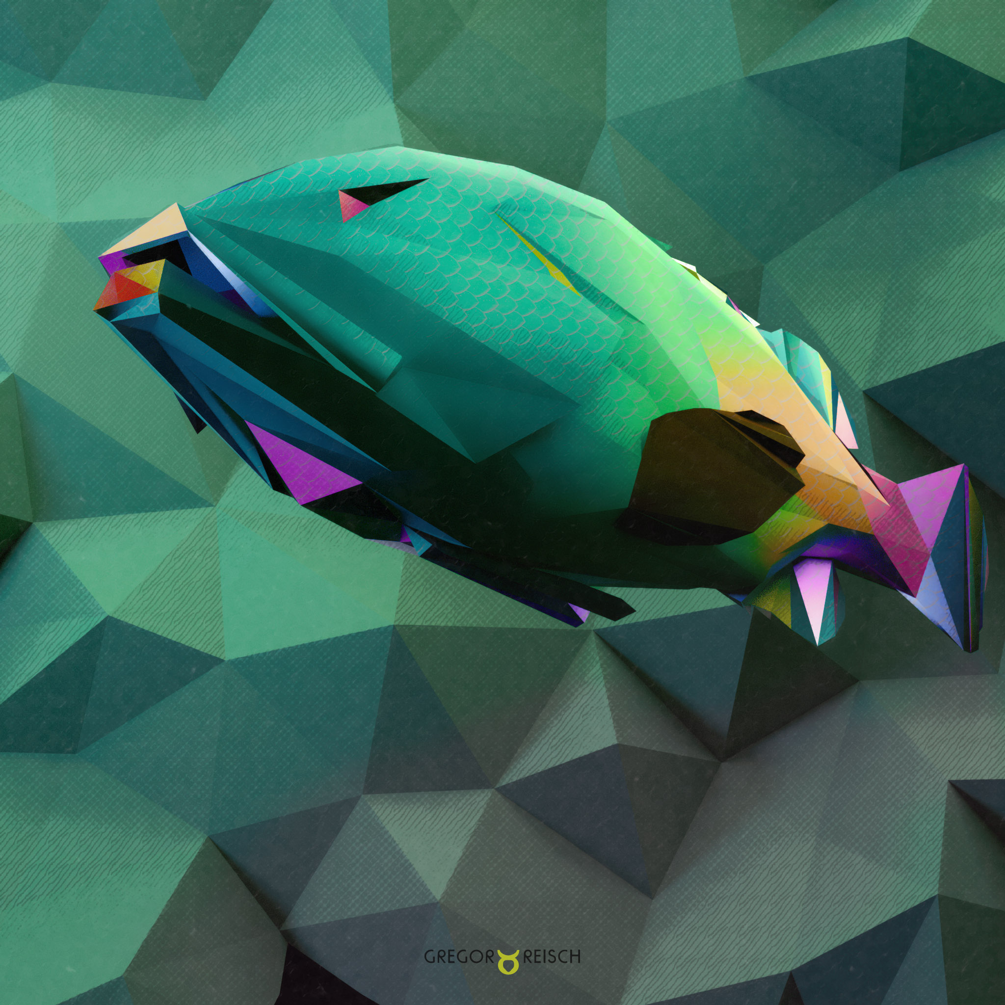 Artwork Polygon Fish by Gregor Reisch